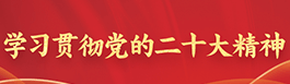 學習貫徹黨的二十大精神