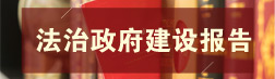 法治政府建設報告